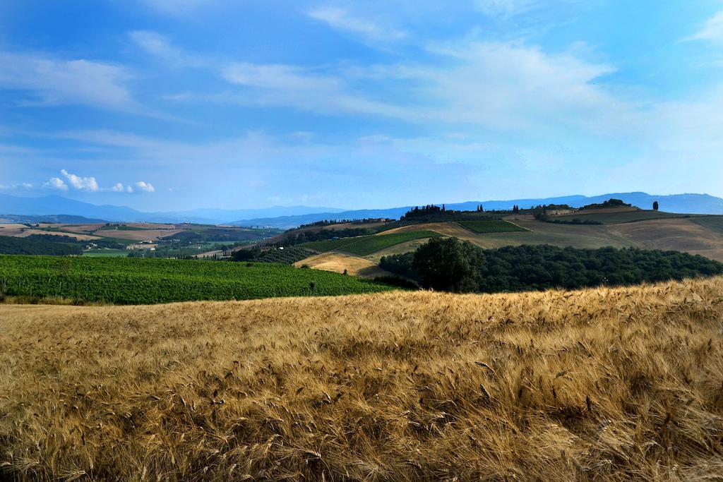 La Canonica Сан-Джованни-д'Ассо Экстерьер фото
